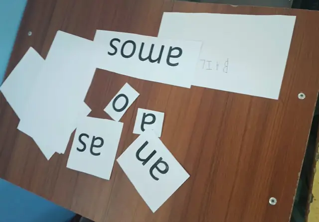 Word cards from a reading activity